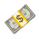 Money icon